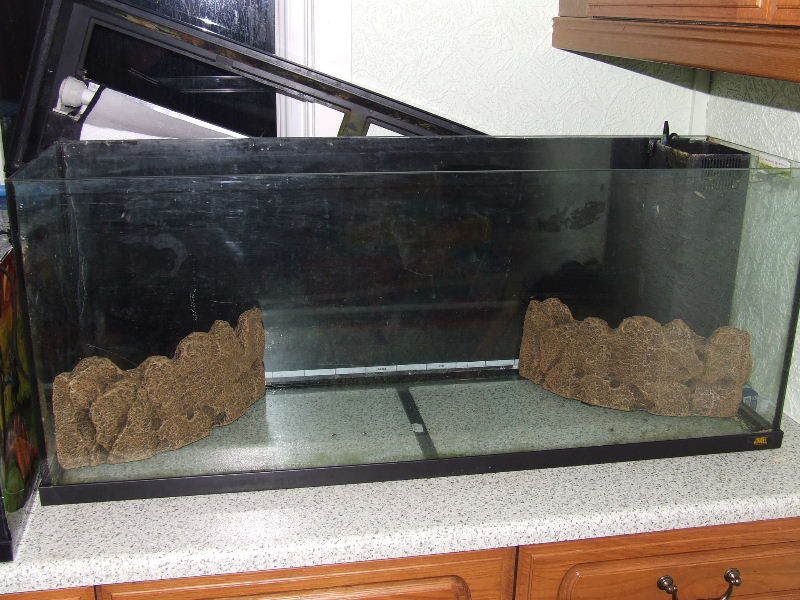 Building a Terrace Within Your Aquarium Beginners Articles Articles